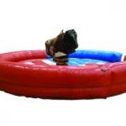 Mechanical20Bull203 1653161052 Mechanical Bull